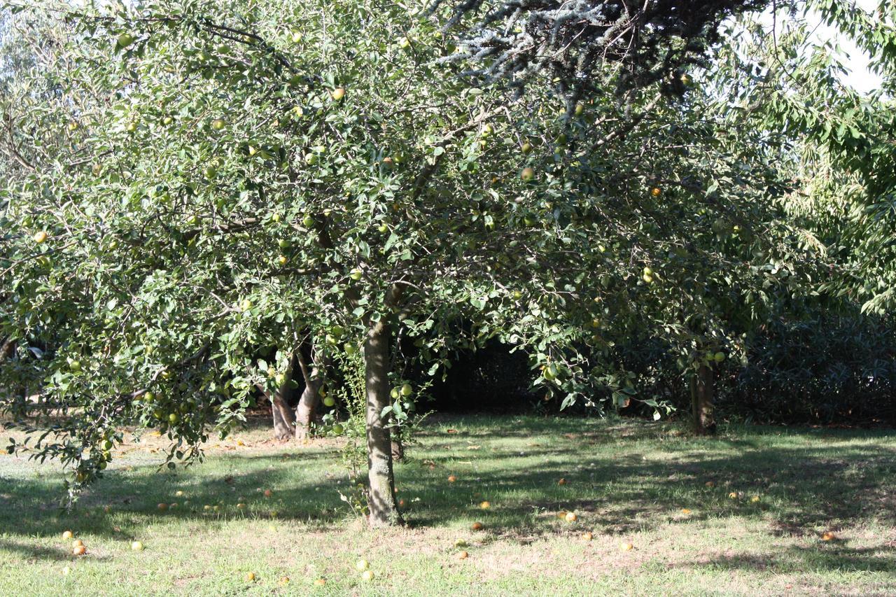 La Villa Blanc (Adults Only) Conques-sur-Orbiel Luaran gambar